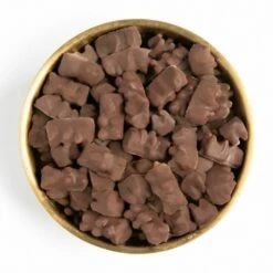 Chocolate Covered Gummy Bears