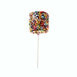 Rainbow Confetti Marshmallow Pop -LOLLI AND POPS Sales lolli and pops l p collection rainbow confetti marshmallow pop 34162558206152